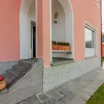 فيلة La Perledina *